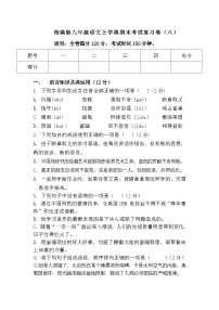 统编版九年级语文上学期期末考试复习卷（八）