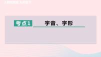 陕西专版2024春九年级语文下册专项训练一基础积累与运用考点1字音字形作业课件新人教部编版