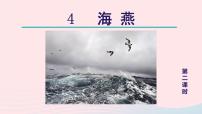 人教部编版九年级下册海燕教学课件ppt