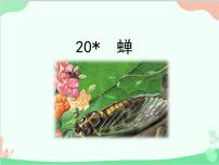 人教部编版八年级上册蝉示范课ppt课件