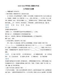 15，河南省周口市扶沟县2023-2024学年九年级上学期期末语文试题