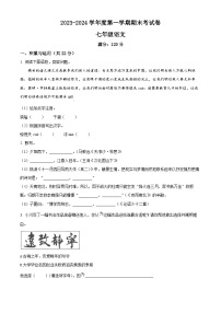 河南省周口市鹿邑县2023-2024学年七年级上学期期末语文试题（原卷版+解析版）