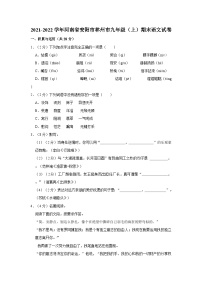 2021-2022学年河南省安阳市林州市九年级（上）期末语文试卷