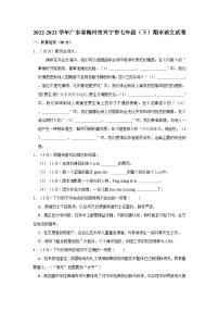 2022-2023学年广东省梅州市兴宁市七年级（下）期末语文试卷