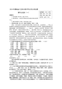 2024年湖南省邵阳市新邵县中考一模语文试题