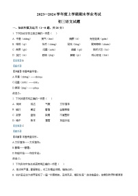 黑龙江省齐齐哈尔市2023-2024学年九年级上学期期末语文试题