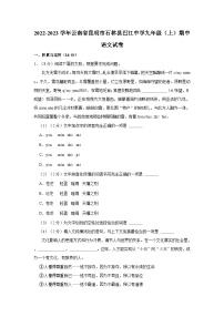 2022-2023学年云南省昆明市石林县巴江中学九年级（上）期中语文试卷