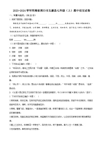 河南省周口市太康县2023-2024学年七年级上学期期中语文试题（原卷版+解析版）