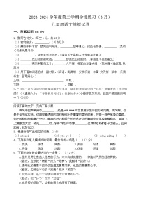 2024年广东省茂名市高州市第一中学附属实验中学中考一模语文试题