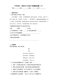 中考语文一轮复习七年级下册基础试题（十）