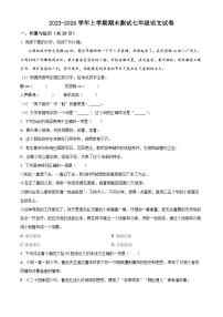 河南省鹤壁市浚县乡镇中学联考2023-2024学年七年级上学期期末语文试题（原卷版+解析版）
