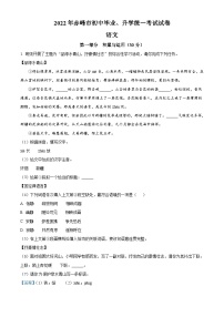 2022年内蒙古赤峰市中考语文真题（含解析）