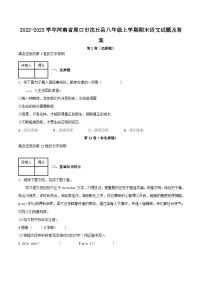 2022-2023学年河南省周口市沈丘县八年级上学期期末语文试题及答案
