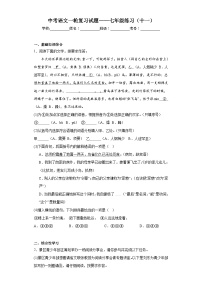 中考语文一轮复习试题——七年级练习（十一）