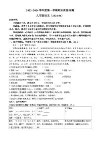 山东省济南市槐荫区2023-2024学年九年级上学期期末语文试题
