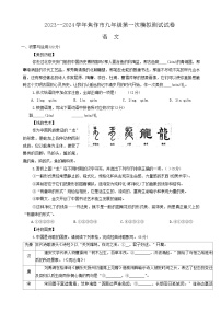 2024年河南省焦作市中考一模语文试题