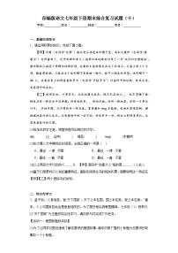 部编版语文七年级下册期末综合复习试题（十）