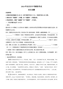 2024年安徽省安庆市中考一模语文试题（原卷版+解析版）
