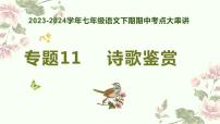 【期中讲练测】统编版七年级下册语文 专题11：诗歌鉴赏（考点串讲）课件