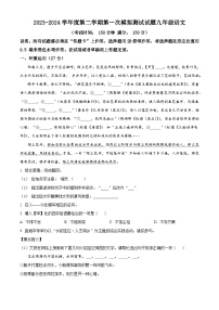 2024年江苏省扬州市宝应县中考一模语文试题（原卷版+解析版）