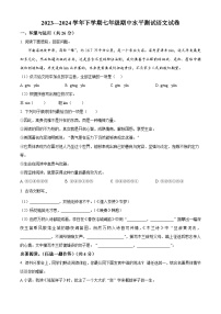 河南省新乡市原阳县2023-2024学年七年级下学期期中语文试题（原卷版+解析版）