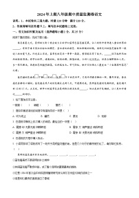 湖南省怀化市通道县2023-2024学年八年级下学期期中语文试题（原卷版+解析版）