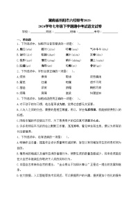 湖南省岳阳市六校联考2023-2024学年七年级下学期期中考试语文试卷(含答案)