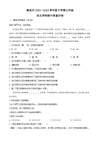 江西省南昌市2023-2024学年七年级下学期期中语文试题（原卷版+解析版）