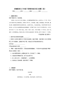 部编版语文八年级下册期末综合复习试题（四）