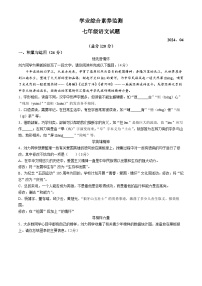 山东省枣庄市薛城区2023-2024学年七年级下学期期中语文试题