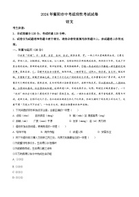 2024年湖南省衡阳市中考一模语文试题（原卷版+解析版）