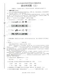 海南省省直辖县级行政单位临高县2023-2024学年九年级下学期5月期中语文试题