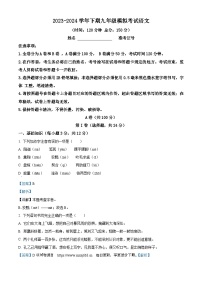 2024年四川省成都市高新技术产业开发区中考一模语文试题