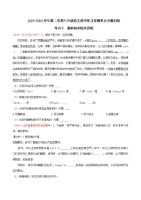 考点05 基础知识综合训练-2023-2024学年八年级下册语文期中考试高频考点专题训练（统编版）