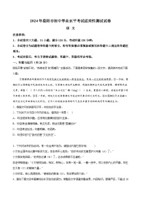 2024年湖南省岳阳市岳阳县中考一模语文试题（含解析）
