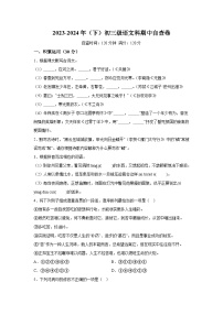 2024年广东省省东莞市长安实验中学中考二模语文试题（含解析）