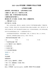 46，山东省聊城市莘县2023-2024学年七年级下学期期中语文试题