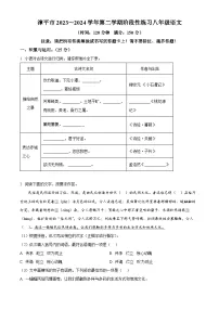福建省漳平市2023-2024学年八年级下学期期中语文试题（原卷版+解析版）