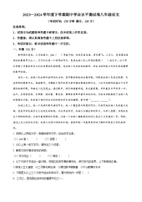 广西壮族自治区百色市田阳区2023-2024学年八年级下学期期中语文试题（原卷版+解析版）