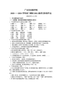四川省广安市友实学校2023-2024学年九年级下学期期中考试语文试题