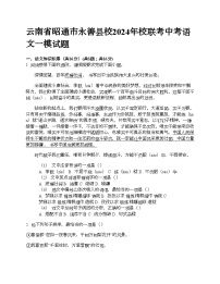 云南省昭通市永善县校2024年校联考中考语文一模试题