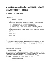 广东省茂名市高州市第一中学附属实验中学2024年中考语文一模试卷