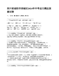 四川省绵阳市涪城区2024年中考语文模拟预测试卷