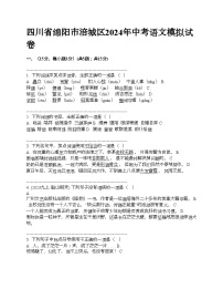 四川省绵阳市涪城区2024年中考语文模拟试卷