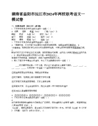 湖南省益阳市沅江市2024年中考两校联考语文一模试卷（无答案）