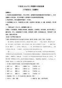 湖南省永州市宁远县2023-2024学年八年级下学期期中语文试题
