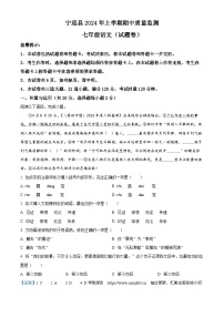 湖南省永州市宁远县2023-2024学年七年级下学期期中语文试题