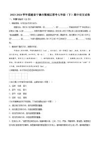 福建省宁德市蕉城区2023-2024学年七年级下学期期中语文试题（含解析）