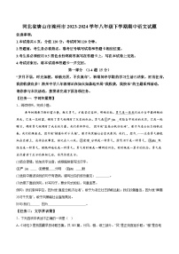 河北省唐山市滦州市2023-2024学年八年级下学期期中语文试题（含解析）