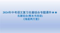 2024年中考语文复习名著综合专题《海底两万里》课件(